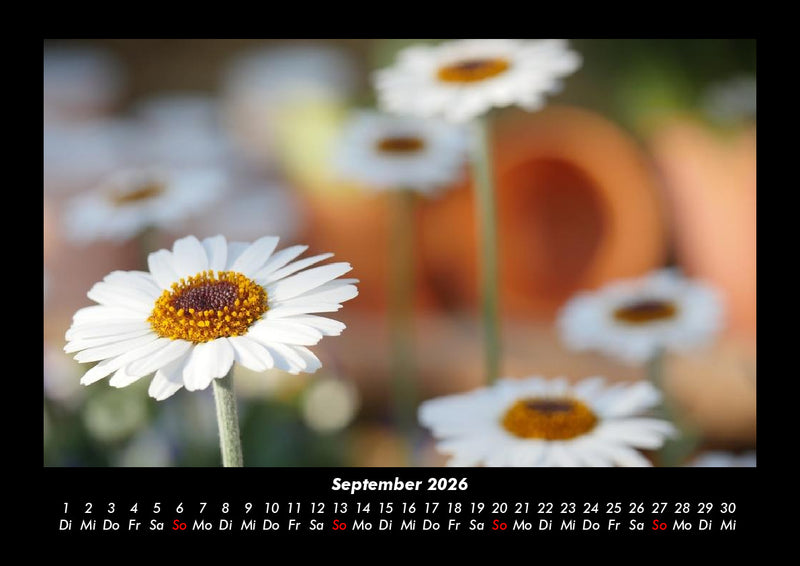 Pflanzen und Blüten Fotokalender 2026 - 9