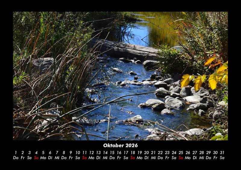 Pflanzen und Blüten Fotokalender 2026 - 10