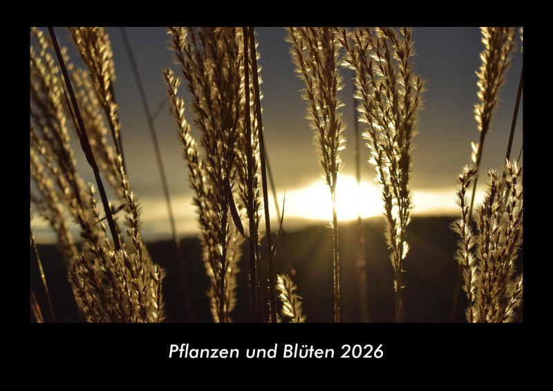 Pflanzen und Blüten Fotokalender 2026 - Hauptbild