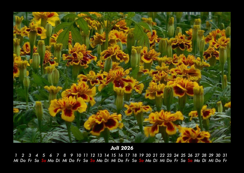Pflanzen und Blüten Fotokalender 2026 - 7