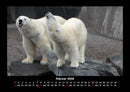 Tierkalender Fotokalender 2026 - 2