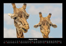 Tierkalender Fotokalender 2026 - 8