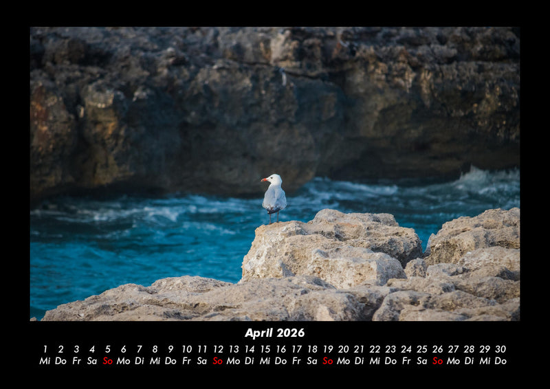Sehnsucht nach Meer Fotokalender 2026 - 4