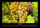 Obstkalender Fotokalender 2026 - 5