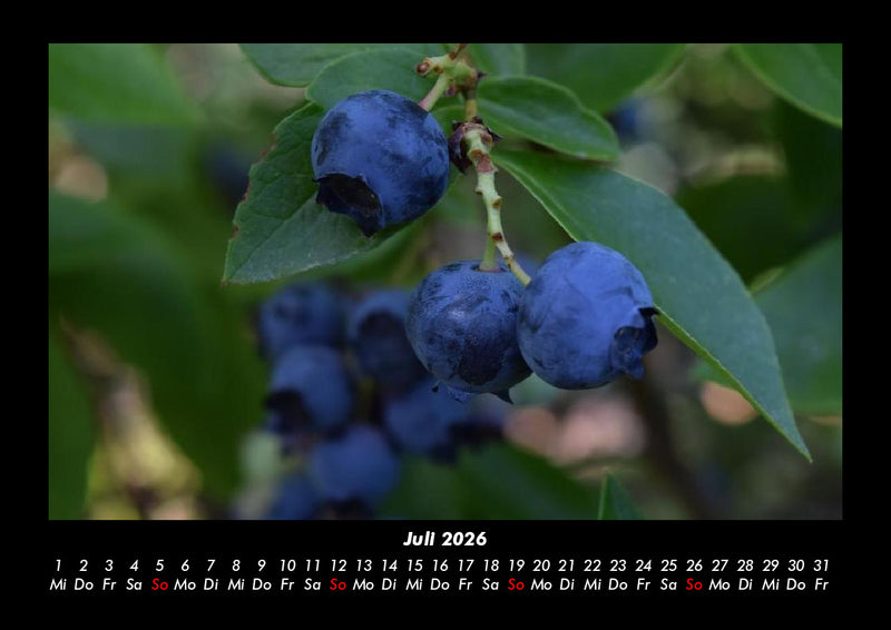 Obstkalender Fotokalender 2026 - 7