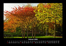 Bäume Fotokalender 2026 - 2