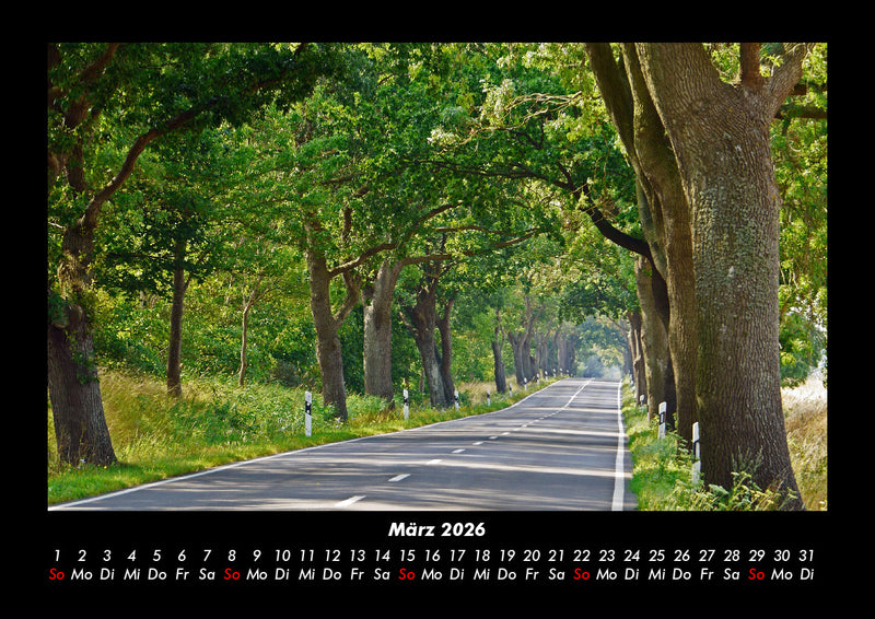 Bäume Fotokalender 2026 - 3