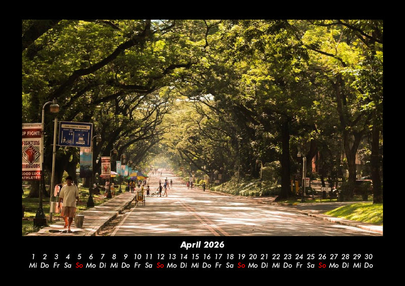 Bäume Fotokalender 2026 - 4