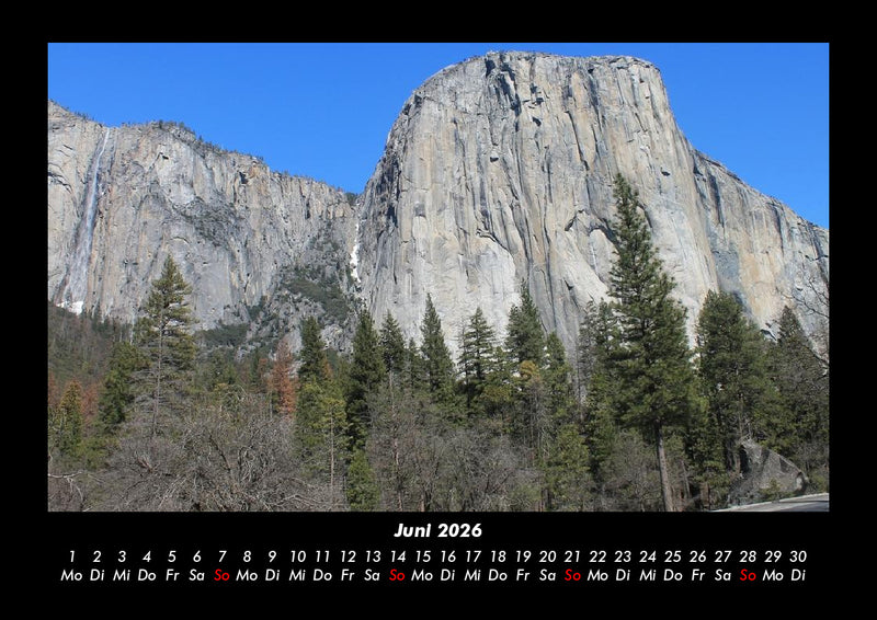 Bäume Fotokalender 2026 - 6