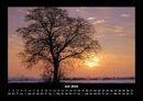 Bäume Fotokalender 2026 - 7
