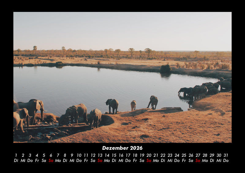 Tage am See Fotokalender 2026 - 12
