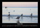 Meereslandschaft Fotokalender 2026 - 1