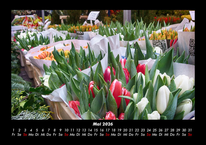 Blumenkalender Fotokalender 2026 - 5