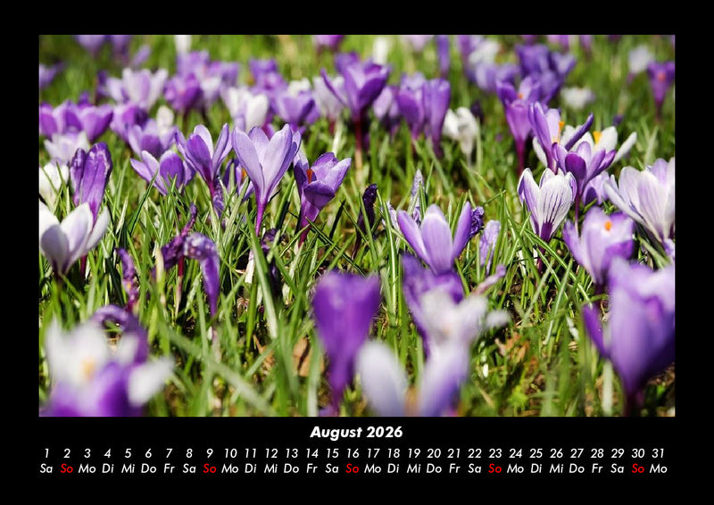 Blumenkalender Fotokalender 2026 - 8