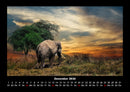 Der Elefantenkalender Fotokalender 2026 - 12