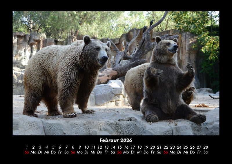 Der Tierkalender Fotokalender 2026 - 2