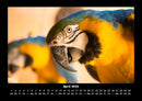 Der Tierkalender Fotokalender 2026 - 4