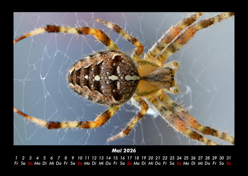 Der Tierkalender Fotokalender 2026 - 5