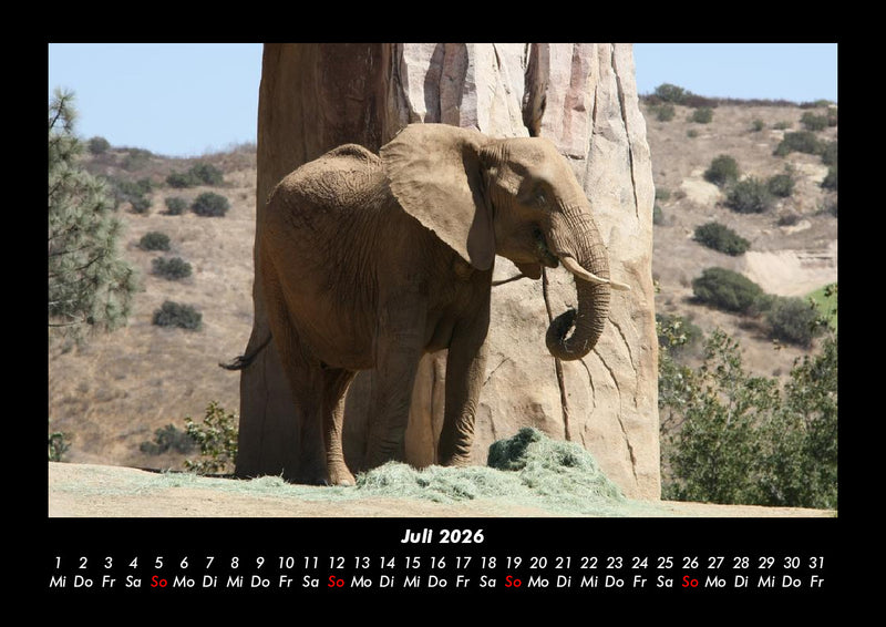 Der Tierkalender Fotokalender 2026 - 7