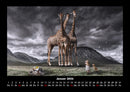 Giraffen Fotokalender 2026 - 1