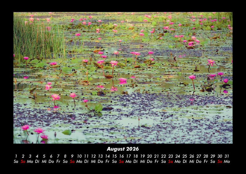 Rosen-Kalender Fotokalender 2026 - 8