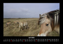 Die Welt der Pferde Fotokalender 2026 - 7