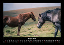 Die Welt der Pferde Fotokalender 2026 - 8