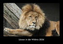 Löwen in der Wildnis Fotokalender 2026 - Hauptbild