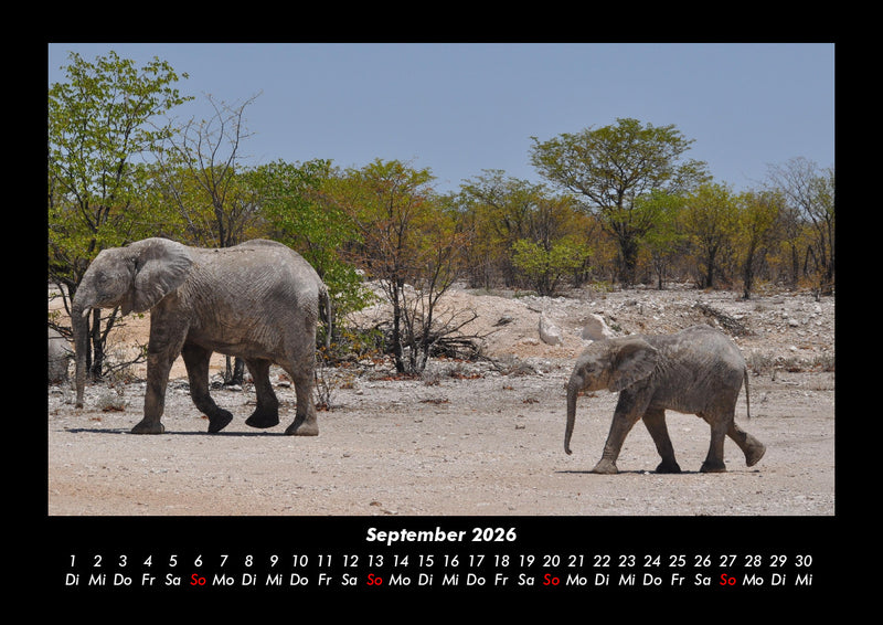 Elefanten - Die sanften Riesen Afrikas Fotokalender 2026 - 9