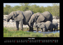 Elefanten - Die sanften Riesen Afrikas Fotokalender 2026 - 6