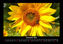 Blumenträume Fotokalender 2026 - 11