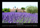 Blumenträume Fotokalender 2026 - 12