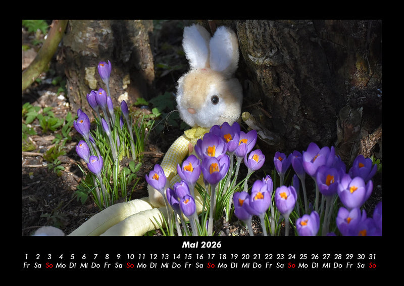 Blumenträume Fotokalender 2026 - 5