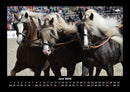 Pferde Kalender Fotokalender 2026 - 6