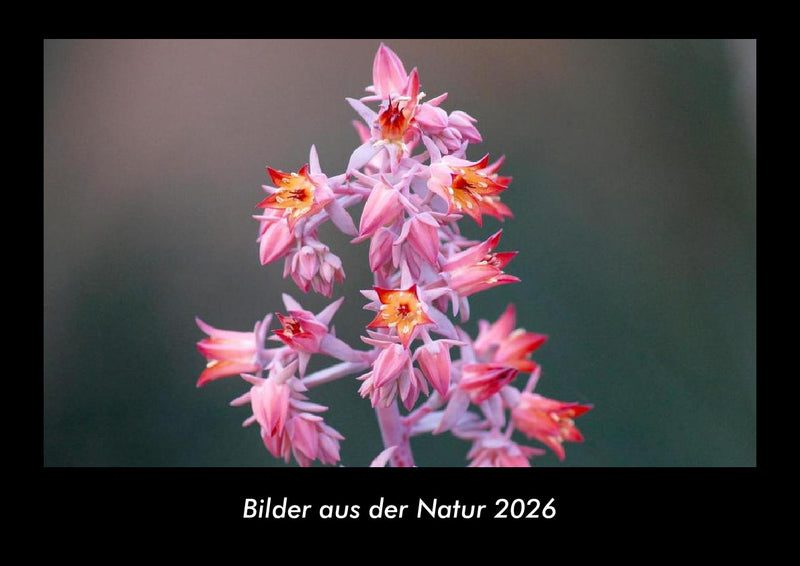 Bilder aus der Natur Fotokalender 2026 - Hauptbild