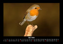 Bilder aus der Natur Fotokalender 2026 - 5