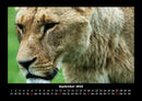 Tiere in der Wildnis Fotokalender 2026 - 9