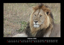 Tiere in der Wildnis Fotokalender 2026 - 2