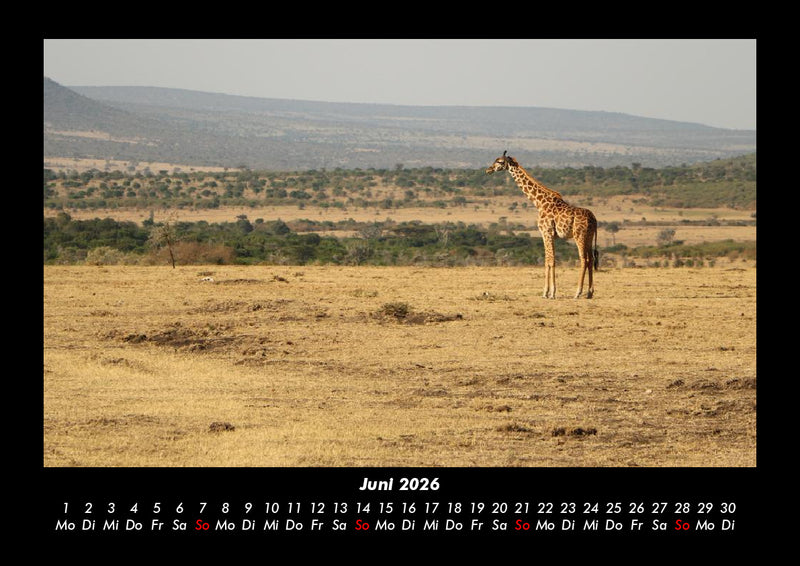 Tiere in der Wildnis Fotokalender 2026 - 6