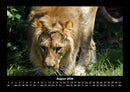 Tiere in der Wildnis Fotokalender 2026 - 8