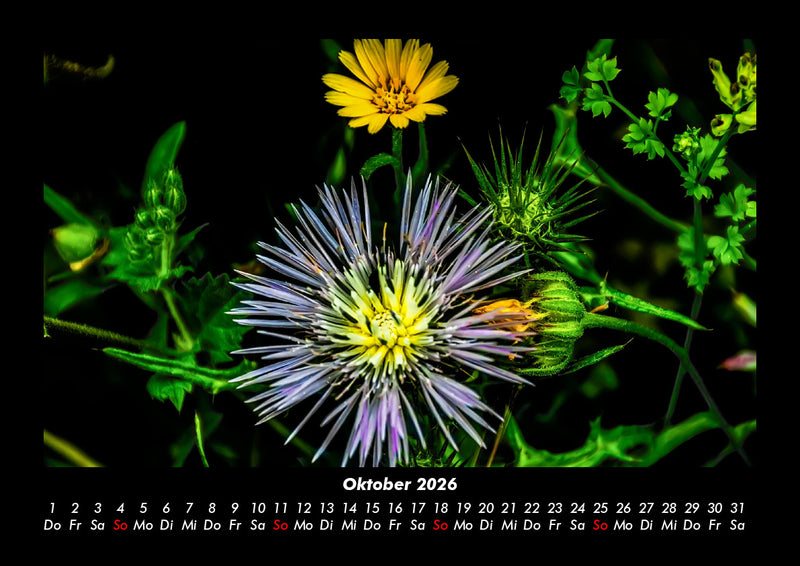 Blumenkalender Fotokalender 2026 - 10