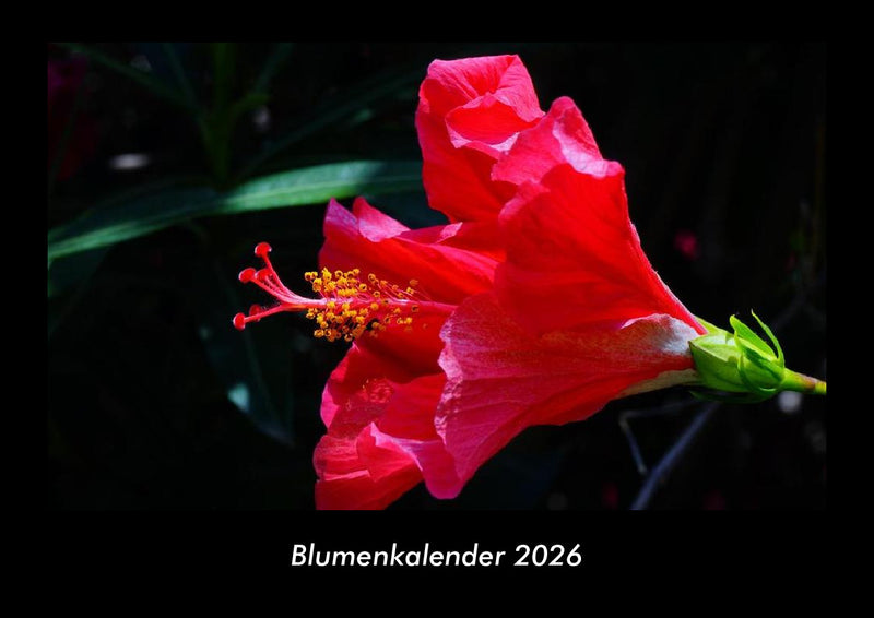 Blumenkalender Fotokalender 2026 - Hauptbild
