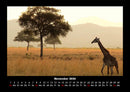 Giraffen Fotokalender 2026 - 11