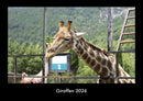 Giraffen Fotokalender 2026 - Hauptbild