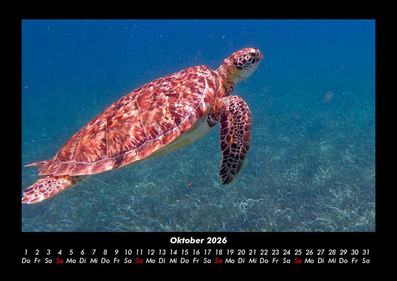 Karibik Fotokalender 2026 - 10