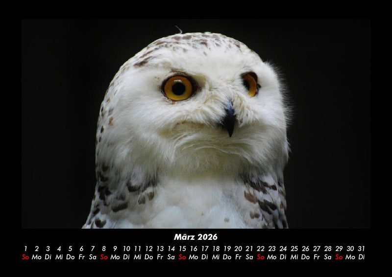 Vogelparadies Fotokalender 2026 - 3
