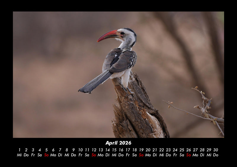 Vogelparadies Fotokalender 2026 - 4