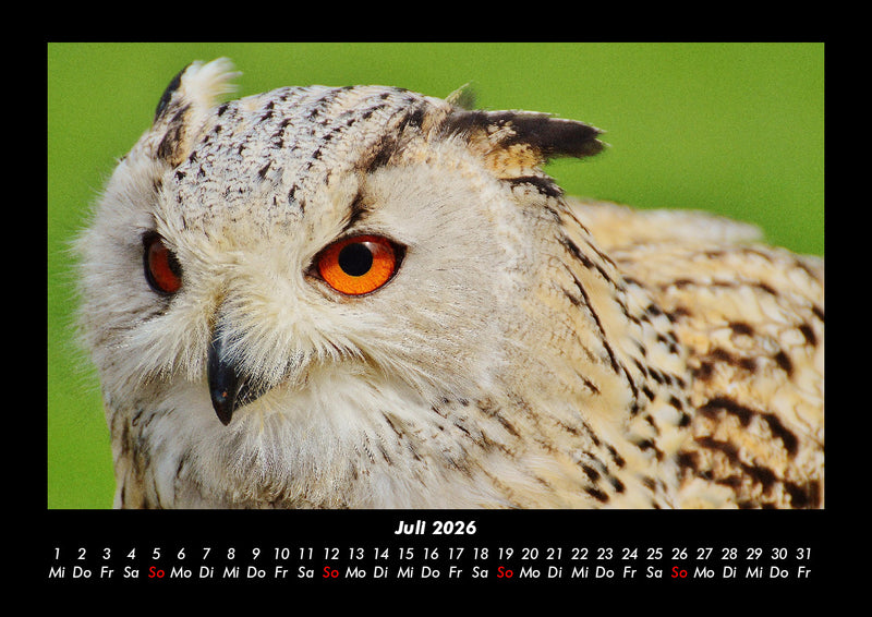 Vogelparadies Fotokalender 2026 - 7