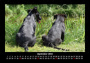 Tierkalender Fotokalender 2026 - 9
