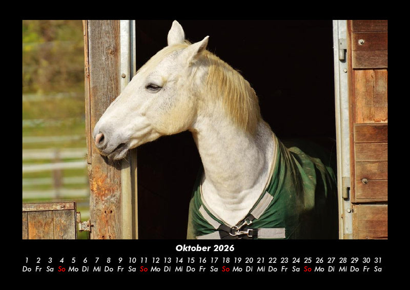 Tierkalender Fotokalender 2026 - 10
